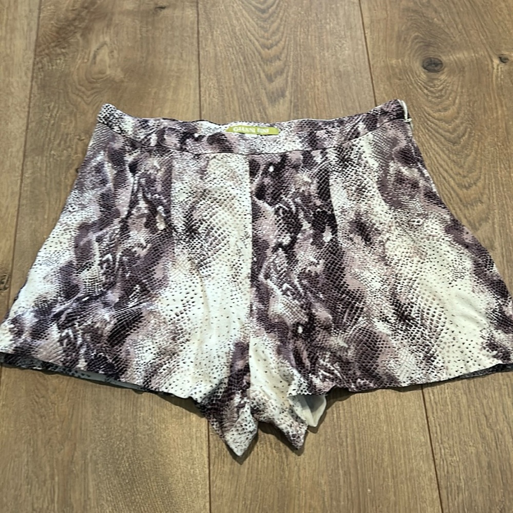Gianni Bini dressy shorts